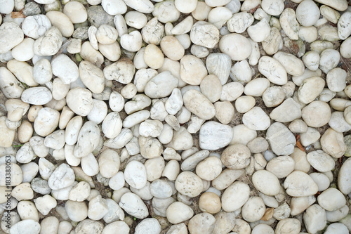Stone in garden