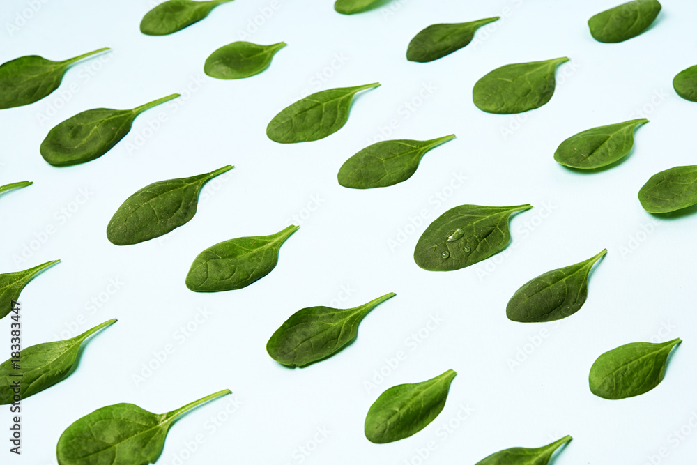 Naklejka premium spinach leaves in isometric