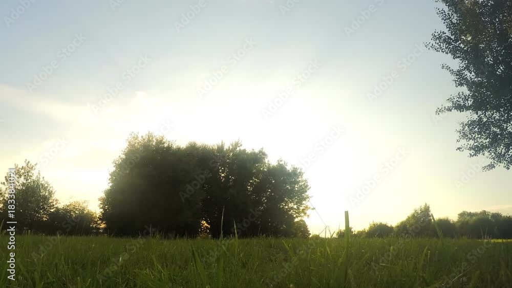 trees in the park at sunset in summer timelapse trees in the park at sunset in summer timelapse