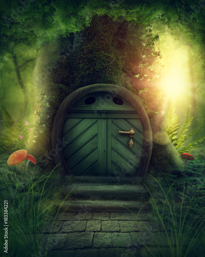 Fototapeta Big magic tree