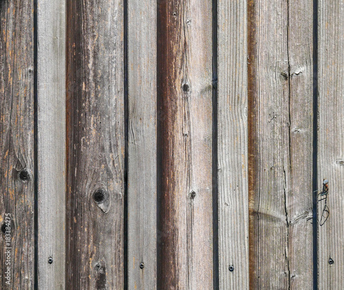 Wallpaper Mural Holzmaserung  Torontodigital.ca