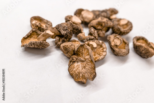 Dry Mushrooms isolated on white background.