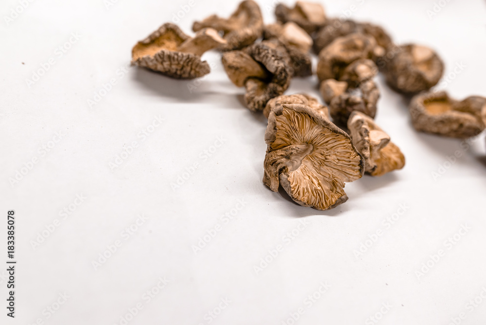 Obraz premium Dry Mushrooms isolated on white background.