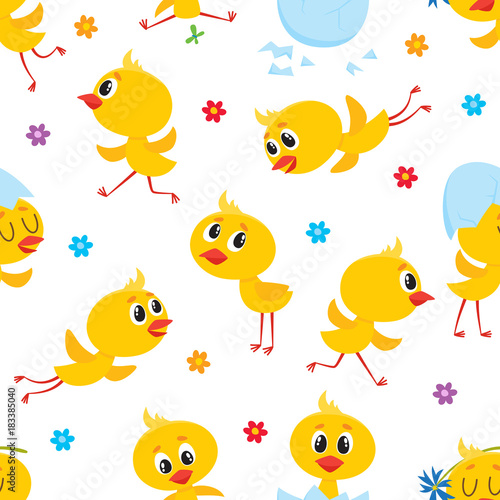 Easter seamless pattern, backdrop, textile design with cute baby chickens, egg shells and flowers, cartoon vector illustration on white background. Baby chicken seamless pattern, Easter design © sabelskaya