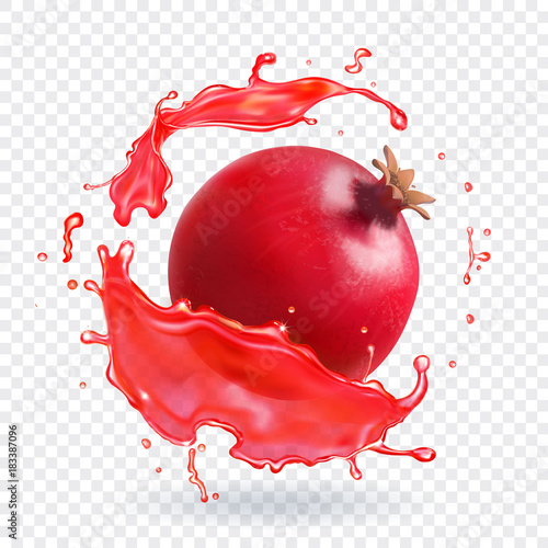 Pomegranate juice splash Realistic fruit fresh icon