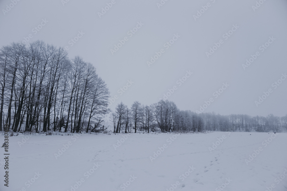 Winter landscape with trees Winter landscape with trees
