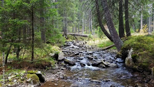 A view of a mountain stream that flows down a slope of stones