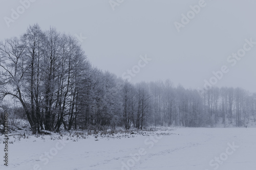 Winter landscape with trees © Kseniya Lokotko