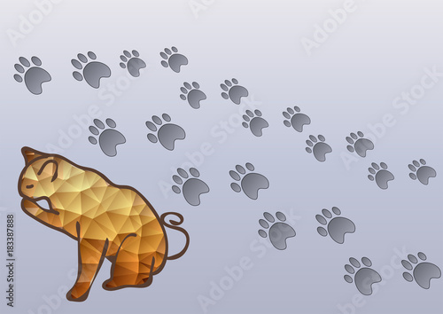 cat and cats traces