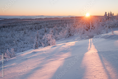 Goldener Sonnenaufgang im Winter