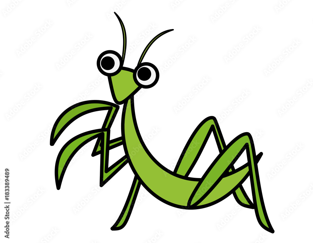 カマキリ 緑 Stock イラスト Adobe Stock