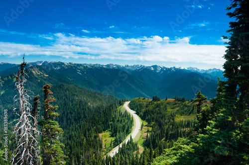 Photography Road through the mountains in the Olympic national park in Washington