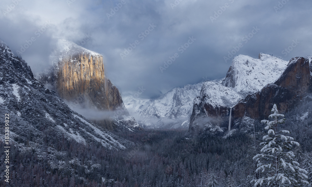 Sierra Snowy Valley Panorama