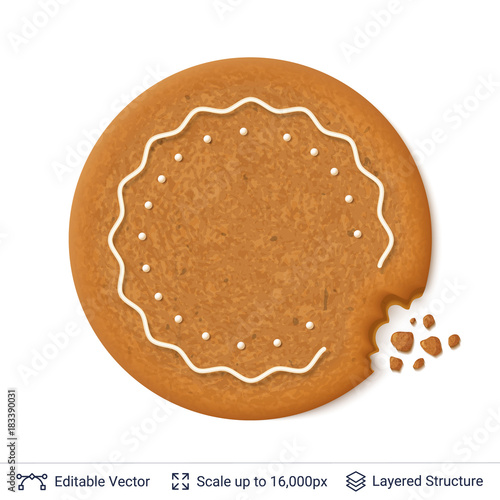 Gingerbread cookie isolated on white.