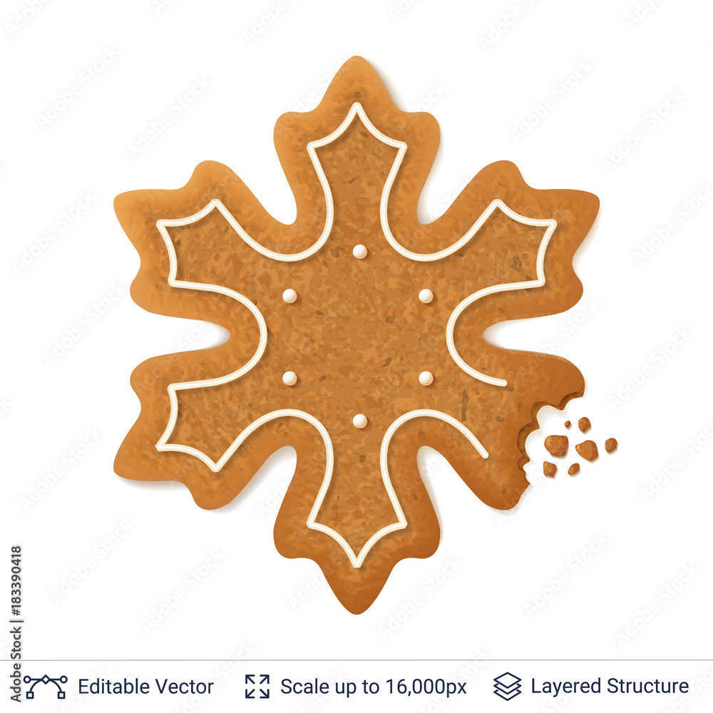 Gingerbread cookie isolated on white.