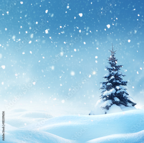 Christmas background with snow.Winter night landscape. Happy new year greeting card with copy-space. © Lilya