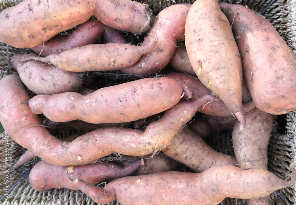 Basket with sweet potatoes