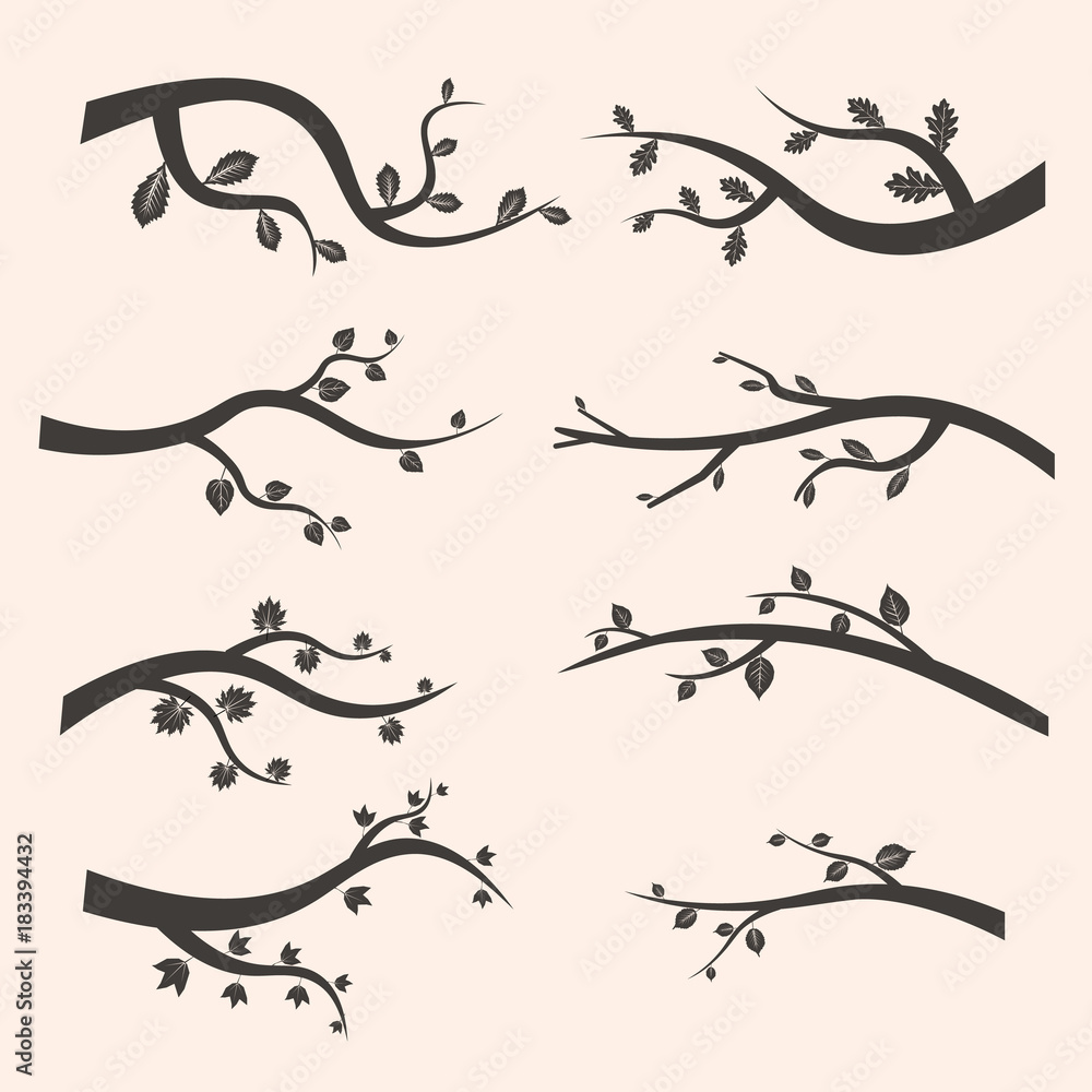 Stylized black tree branch silhouettes with leaves. Set of branch tree Vector Illustration EPS Stylized black tree branch silhouettes with leaves. Set of branch tree Vector Illustration EPS