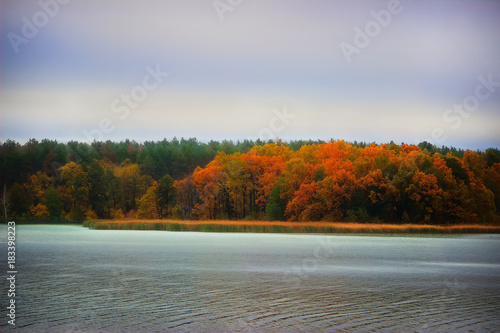 Fall Colors at Island. Reflections at waters edge photo