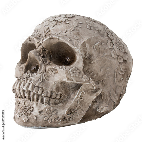 Skull isolated on white background. Skull with carved pattern.