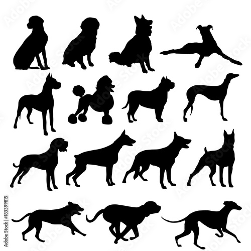 silueta perro