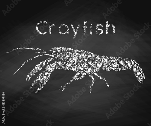 Crayfish drawn in chalk on a chalkboard. Vector illustration.
