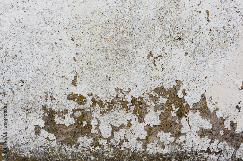 The old,white, grey grunge concrete texture or background. Copy space. graphical resource. The old,white, grey grunge concrete texture or background. Copy space. graphical resource.