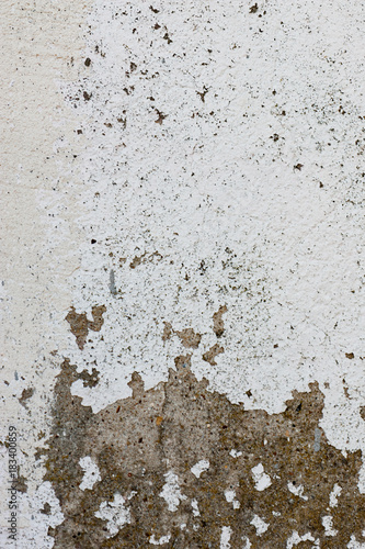 The vertical view of old,white, grey grunge concrete texture or background. Copy space. graphical resource © Alex