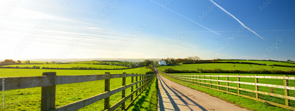 Fence casting shadows on a road leading to small house between scenic Cornish fields under blue sky, Cornwall, England - obrazy, fototapety, plakaty 