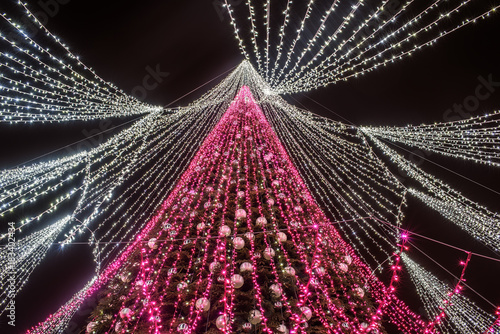 Vilnius, Lithuania: Christmas tree in Cathedral Square at night