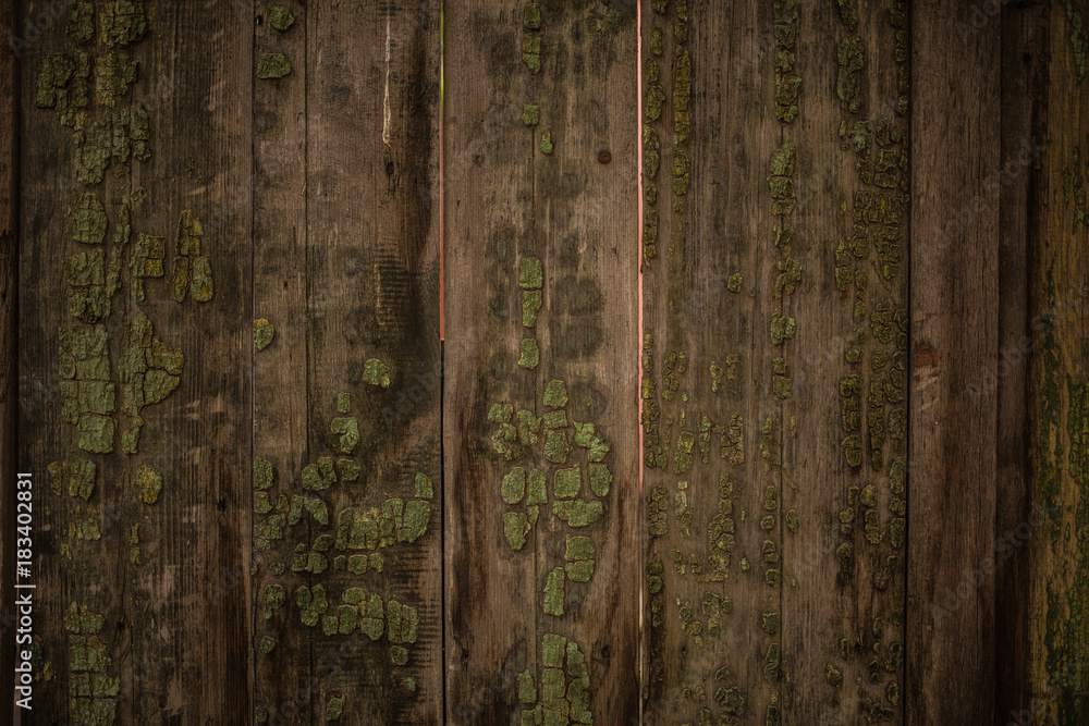 Fototapeta premium old green wooden fence background