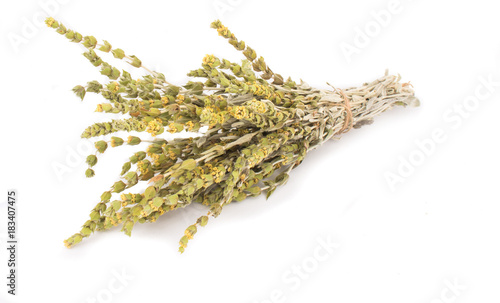 Bunch of mountain tea Malotira isolated on white background. Greek traditional herbs. Herbal tea. photo