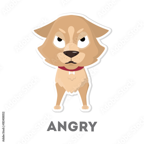 Isolated angry dog.