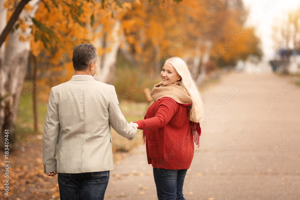 Fototapeta premium Mature couple walking in park on autumn day