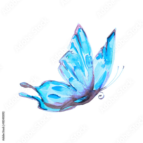 beautiful blue butterfliy, isolated on a white