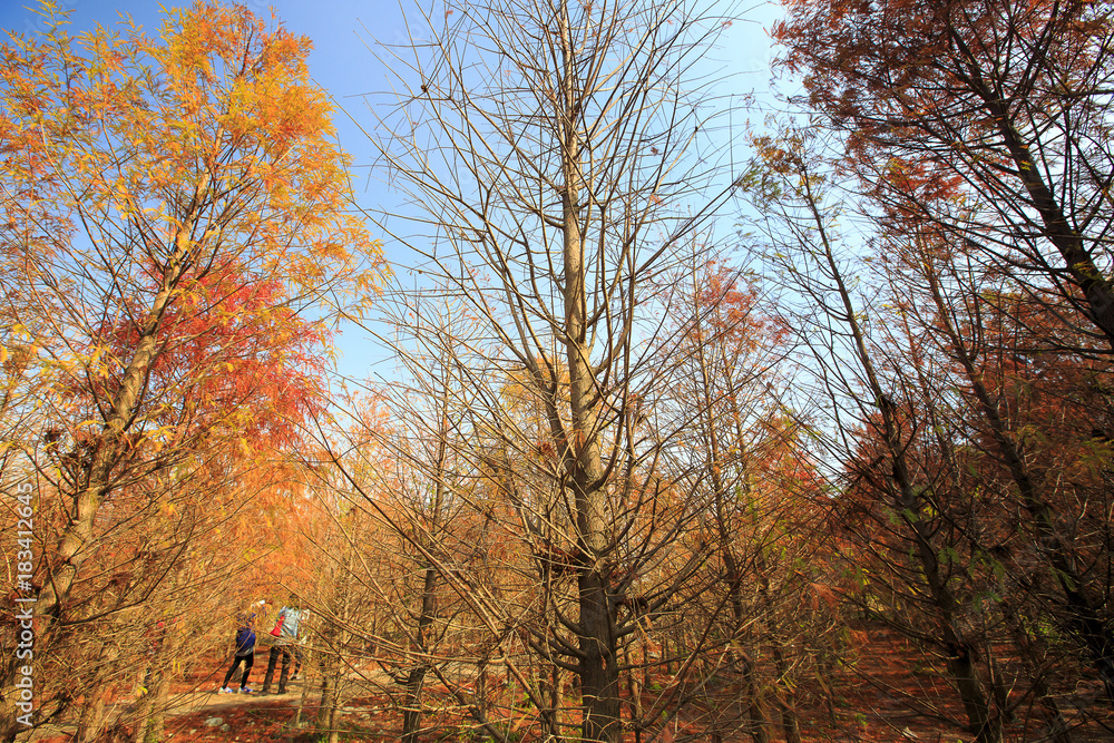 Fototapeta premium Beauty in Taiwan