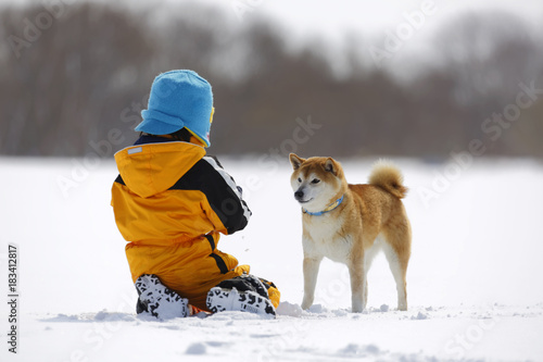 雪野原で柴犬と遊ぶ男の子