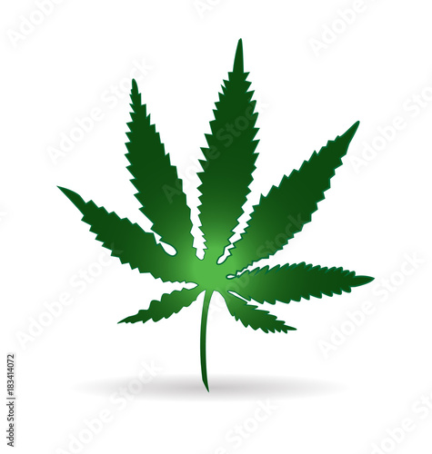 Cannabis plant isolate on white background vector icon