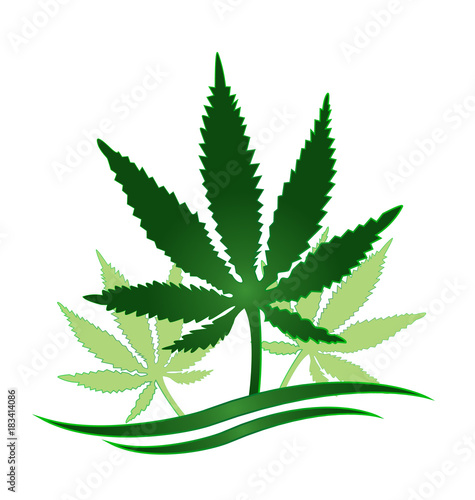 Cannabis plant identity card background vector icon