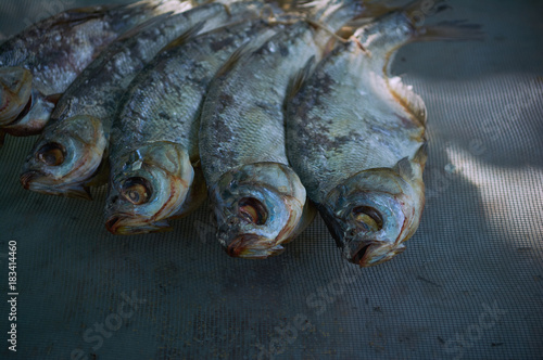 Salty dry river fish on a dark  background