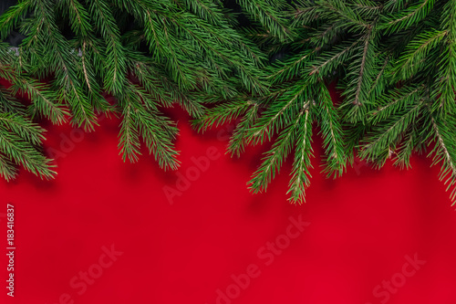 Christmas background. red background. Real tree