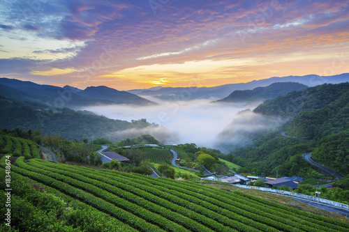 Beauty in Taiwan