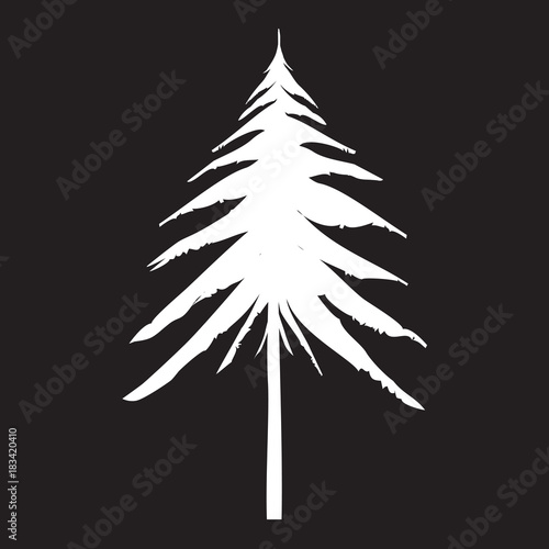White Pine Tree. Drawing Vector illustration.