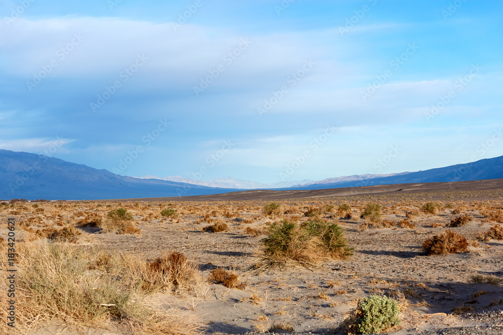 Barren outdoor desert with mountains in background Barren outdoor desert with mountains in background