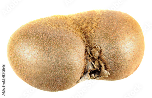 Unpeeled kiwifruit with shape defect (flat fruit or kiwi butterfly) isolated on white background