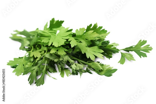Fresh herbs