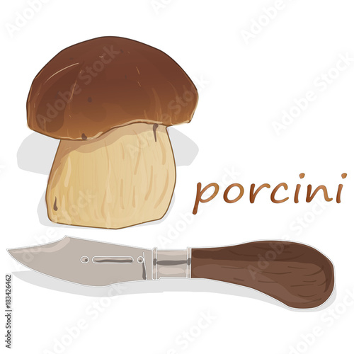 Porcini isolated white background.