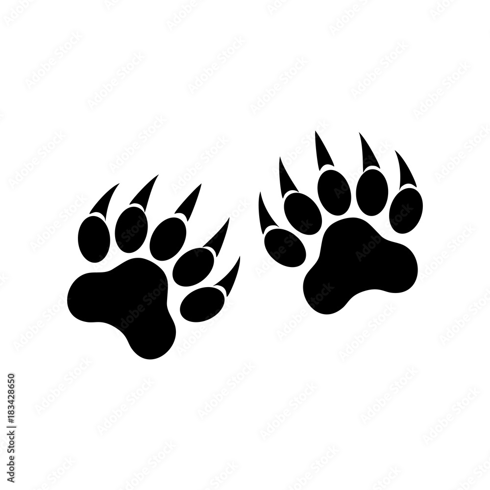 Animal paws with claws. Tiger paw Animal paws with claws. Tiger paw