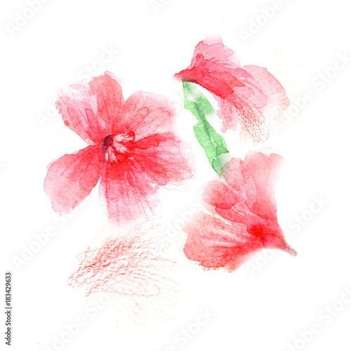 Illustration of a watercolor pink flowers