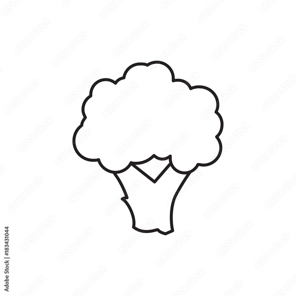 cauliflower icon illustration cauliflower icon illustration